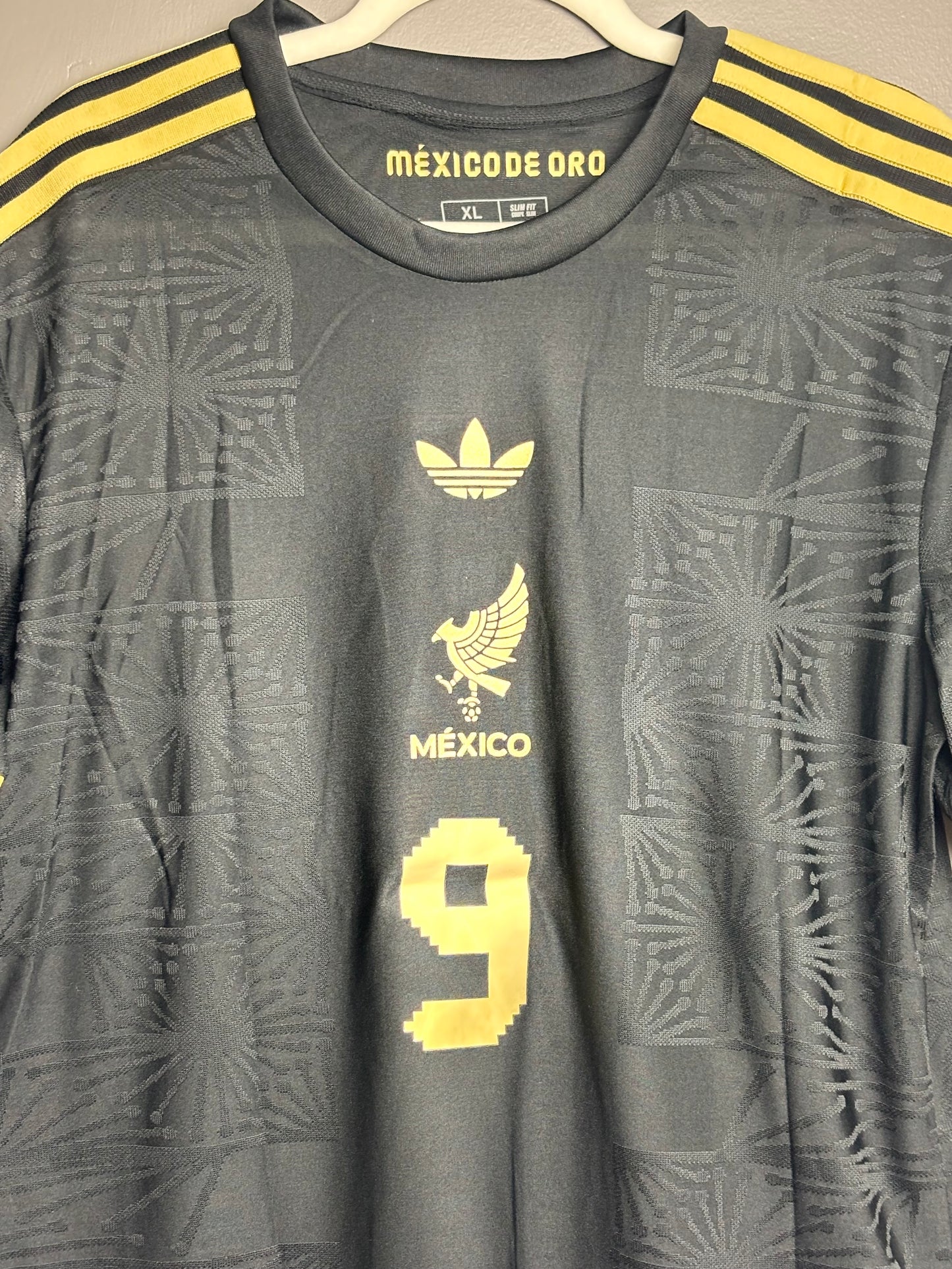 Mexico 2025 - 9 Raúl
